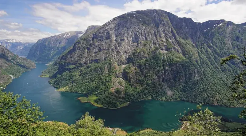Aerial view of a narrow Norwegian fjord winding between green mountains